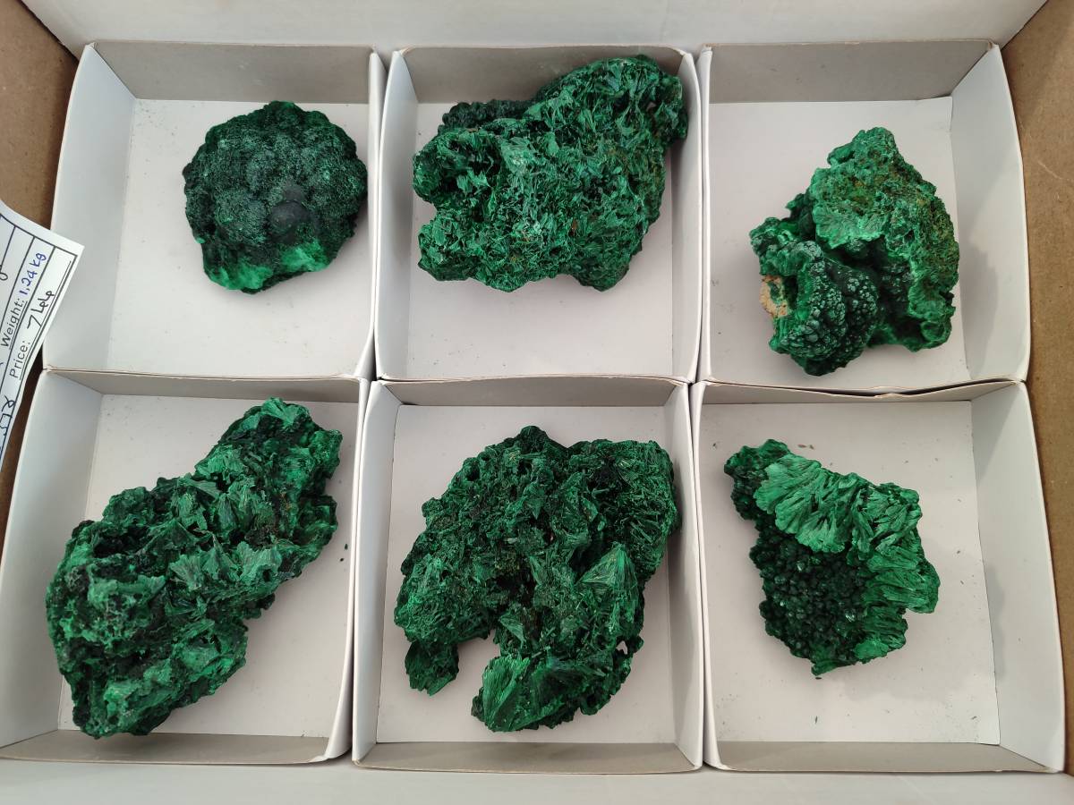 Natural Silky Malachite Specimens x 6 From Kasompe, Congo