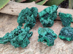 Natural Silky Malachite Specimens x 6 From Kasompe, Congo