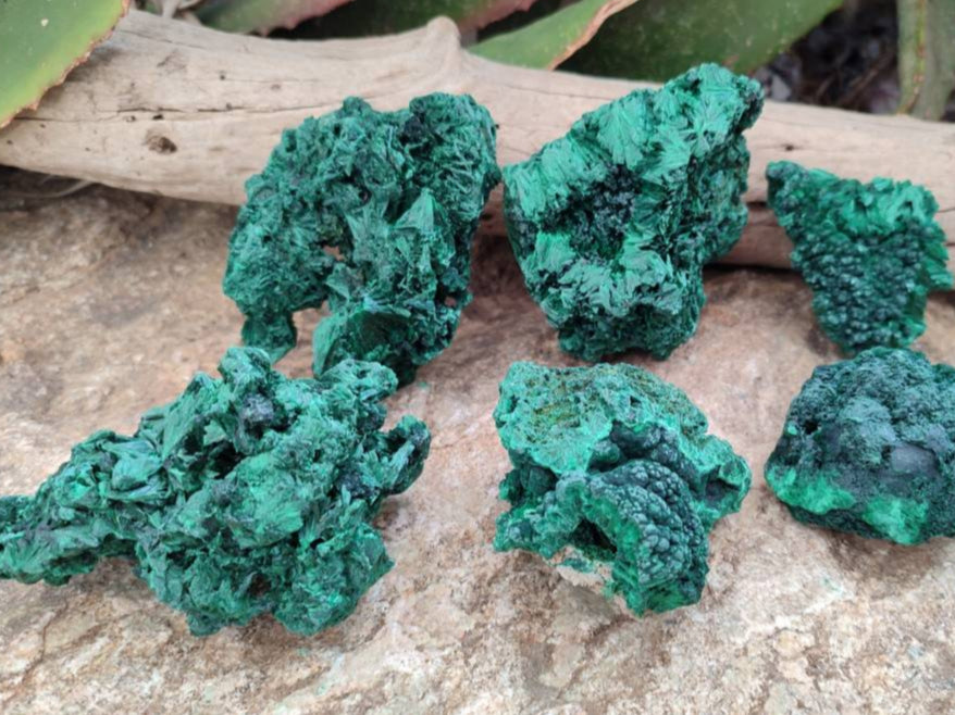 Natural Silky Malachite Specimens x 6 From Kasompe, Congo
