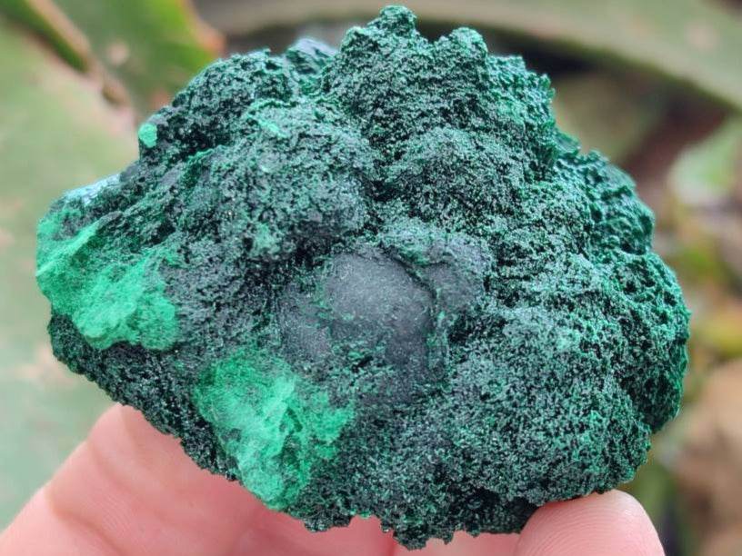 Natural Silky Malachite Specimens x 6 From Kasompe, Congo