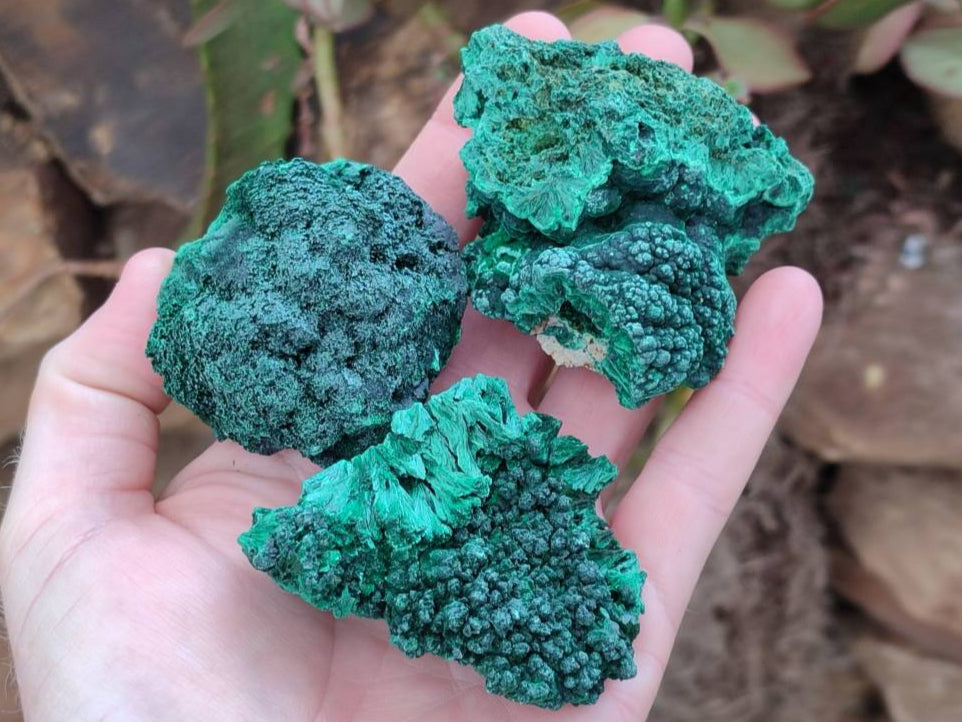 Natural Silky Malachite Specimens x 6 From Kasompe, Congo