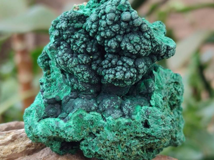 Natural Silky Malachite Specimens x 6 From Kasompe, Congo
