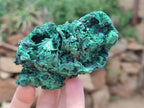 Natural Silky Malachite Specimens x 6 From Kasompe, Congo