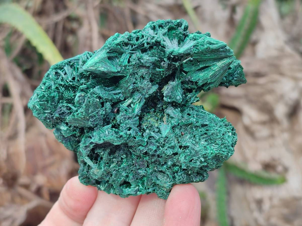 Natural Silky Malachite Specimens x 6 From Kasompe, Congo