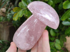 Polished Rose Quartz Mushrooms x 3 From Madagascar