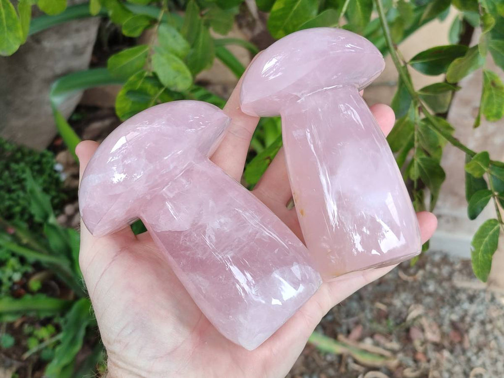 Polished Rose Quartz Mushrooms x 3 From Madagascar