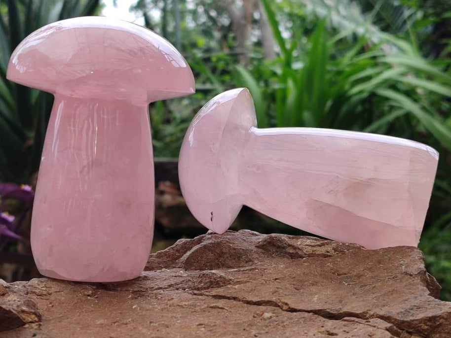 Polished Rose Quartz Mushrooms x 3 From Madagascar