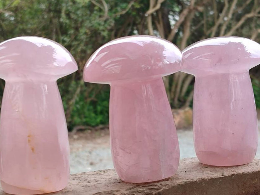 Polished Rose Quartz Mushrooms x 3 From Madagascar