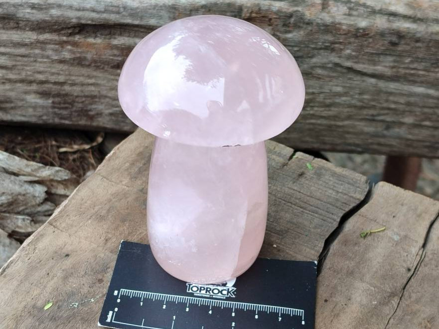 Polished Rose Quartz Mushrooms x 3 From Madagascar