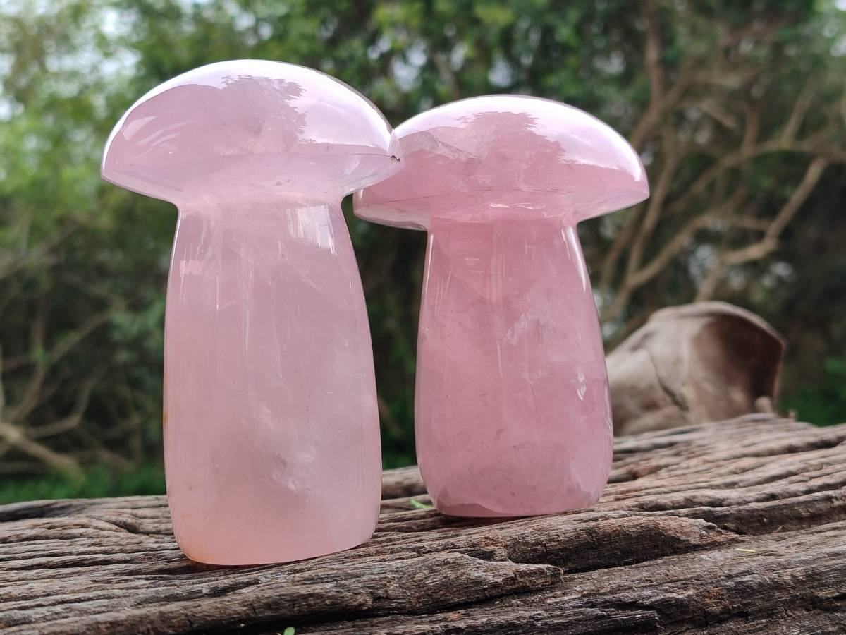 Polished Rose Quartz Mushrooms x 3 From Madagascar