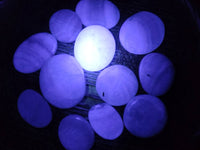 Polished Green Fluorescent Fluorite Galets x 12 From Madagascar