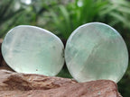 Polished Green Fluorescent Fluorite Galets x 12 From Madagascar