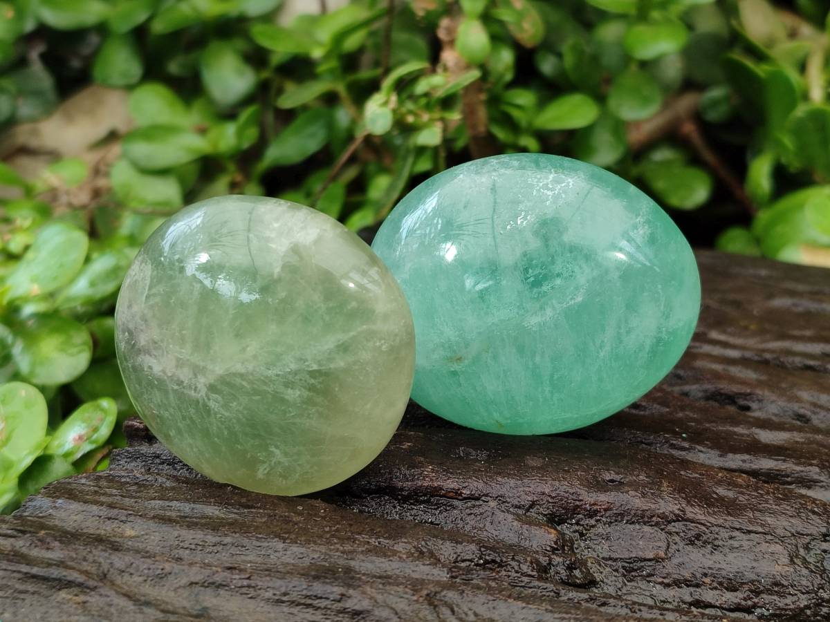 Polished Green Fluorescent Fluorite Galets x 12 From Madagascar