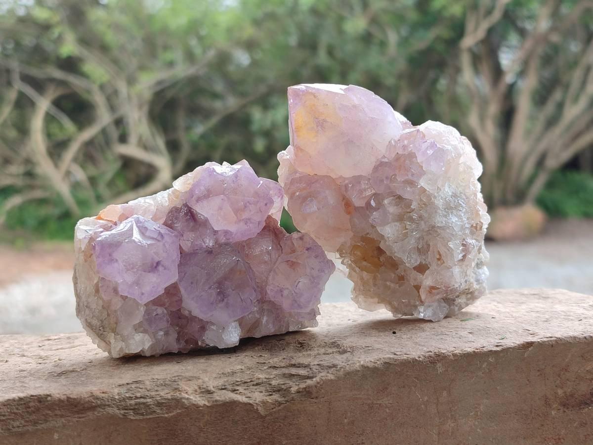 Natural Sunburst Amethyst Spirit Clusters x 6 From Boekenhouthoek, South Africa