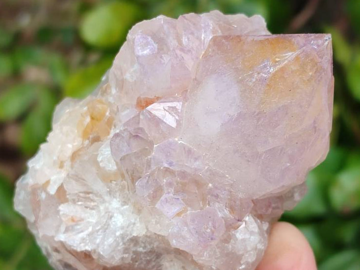 Natural Sunburst Amethyst Spirit Clusters x 6 From Boekenhouthoek, South Africa