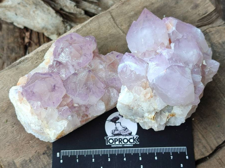 Natural Sunburst Amethyst Spirit Clusters x 6 From Boekenhouthoek, South Africa