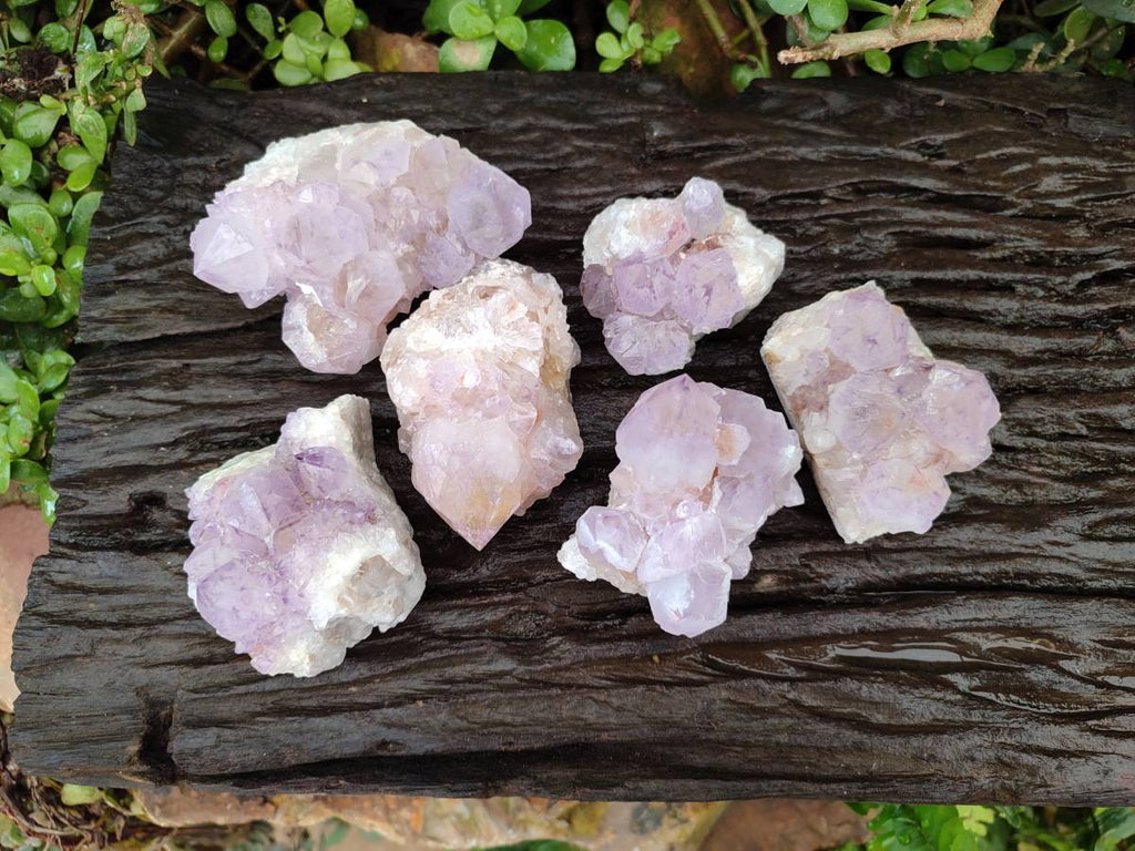 Natural Sunburst Amethyst Spirit Clusters x 6 From Boekenhouthoek, South Africa