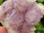 Natural Sunburst Amethyst Spirit Clusters x 6 From Boekenhouthoek, South Africa