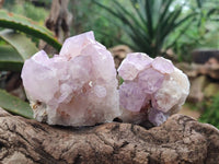 Natural Sunburst Amethyst Spirit Clusters x 6 From Boekenhouthoek, South Africa