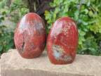 Polished Red Jasper Standing Free Form x 2 From Madagascar