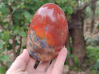 Polished Red Jasper Standing Free Form x 2 From Madagascar