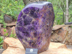 Polished XXL Deep Purple Chevron Amethyst Standing Free Form x 1 From Madagascar