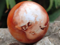 Polished Carnelian Agate Gemstone Spheres x 6 From Madagascar