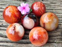 Polished Carnelian Agate Gemstone Spheres x 6 From Madagascar