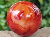 Polished Carnelian Agate Gemstone Spheres x 6 From Madagascar
