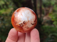 Polished Carnelian Agate Gemstone Spheres x 6 From Madagascar
