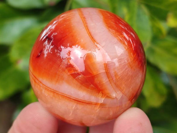 Polished Carnelian Agate Gemstone Spheres x 6 From Madagascar