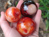 Polished Carnelian Agate Gemstone Spheres x 6 From Madagascar