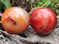 Polished Carnelian Agate Gemstone Spheres x 6 From Madagascar