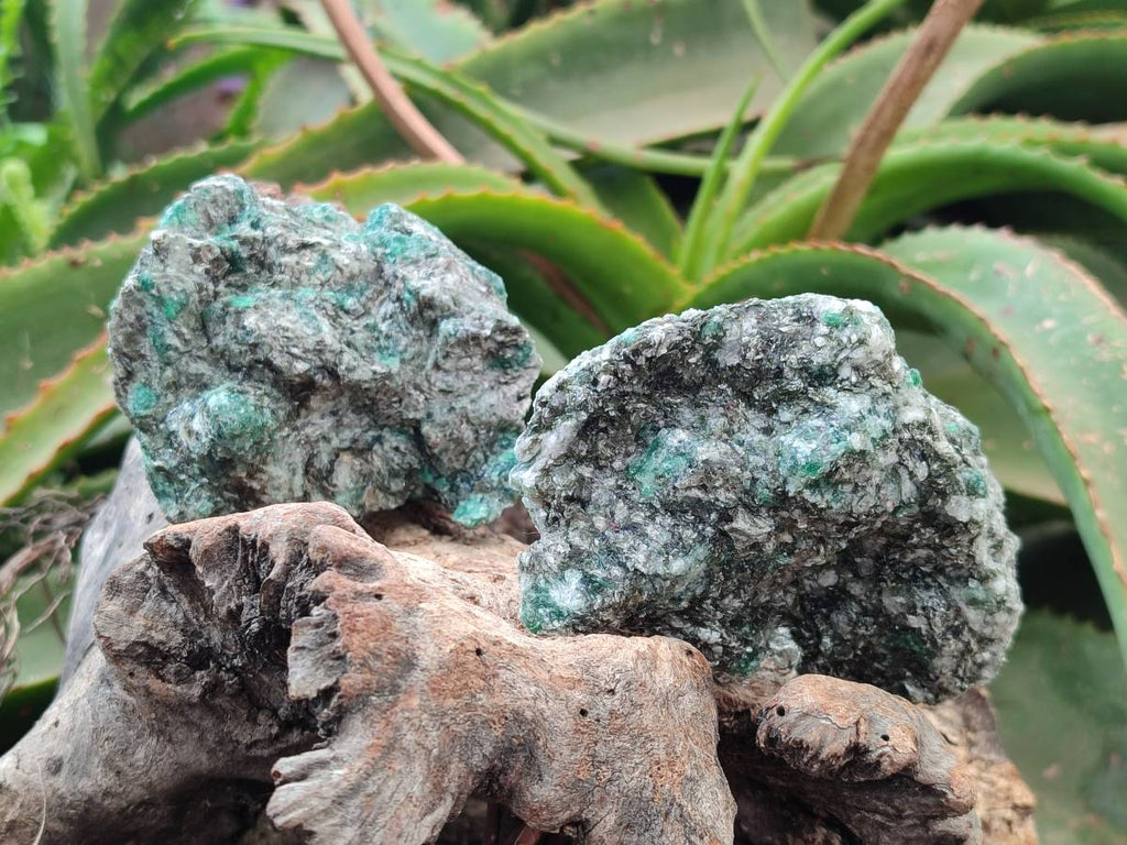 Natural Emerald Mica 'Mutokolite' Cobbed Specimens x 6 From Mutoko, Zimbabwe