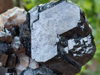 Natural Schorl Black Tourmaline With Smokey Quartz Specimens x 2 From Erongo, Namibia