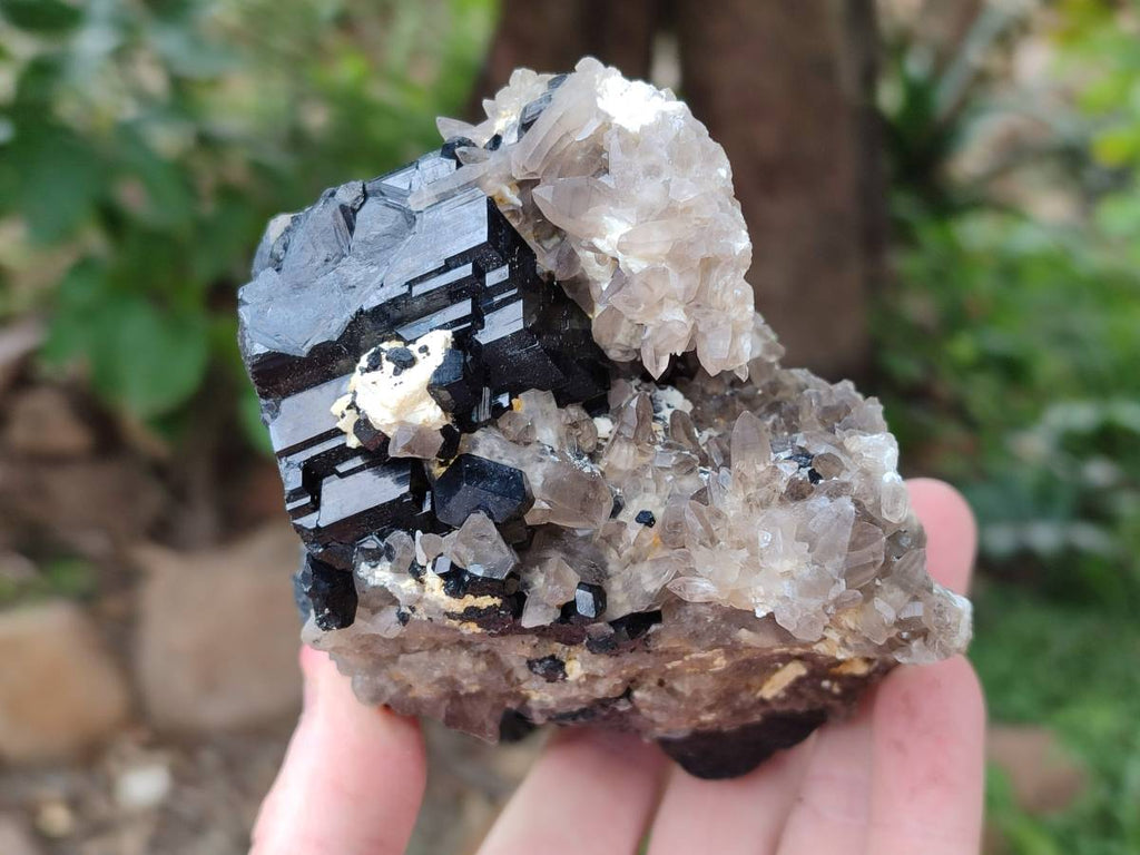 Natural Schorl Black Tourmaline With Smokey Quartz Specimens x 2 From Erongo, Namibia