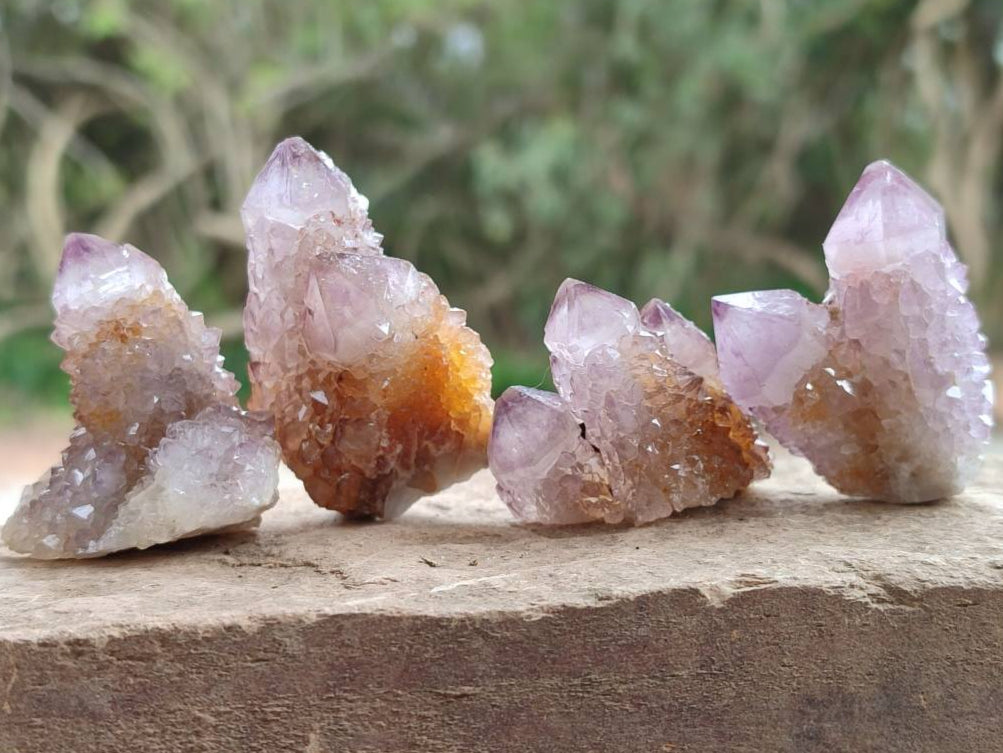 Natural Sunburst Amethyst Spirit Crystals x 20 From Boekenhouthoek, South Africa