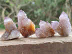 Natural Sunburst Amethyst Spirit Crystals x 20 From Boekenhouthoek, South Africa