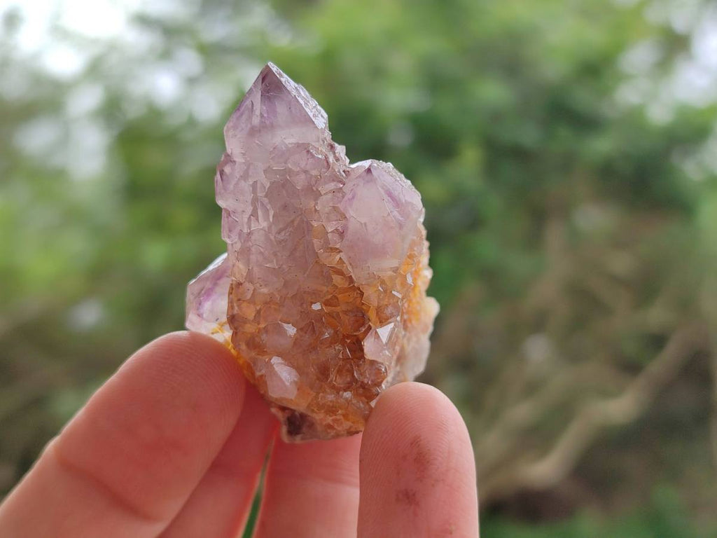 Natural Sunburst Amethyst Spirit Crystals x 20 From Boekenhouthoek, South Africa