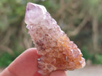 Natural Sunburst Amethyst Spirit Crystals x 20 From Boekenhouthoek, South Africa