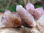 Natural Sunburst Amethyst Spirit Crystals x 20 From Boekenhouthoek, South Africa