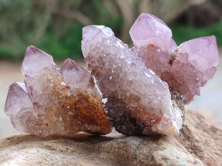 Natural Sunburst Amethyst Spirit Crystals x 20 From Boekenhouthoek, South Africa