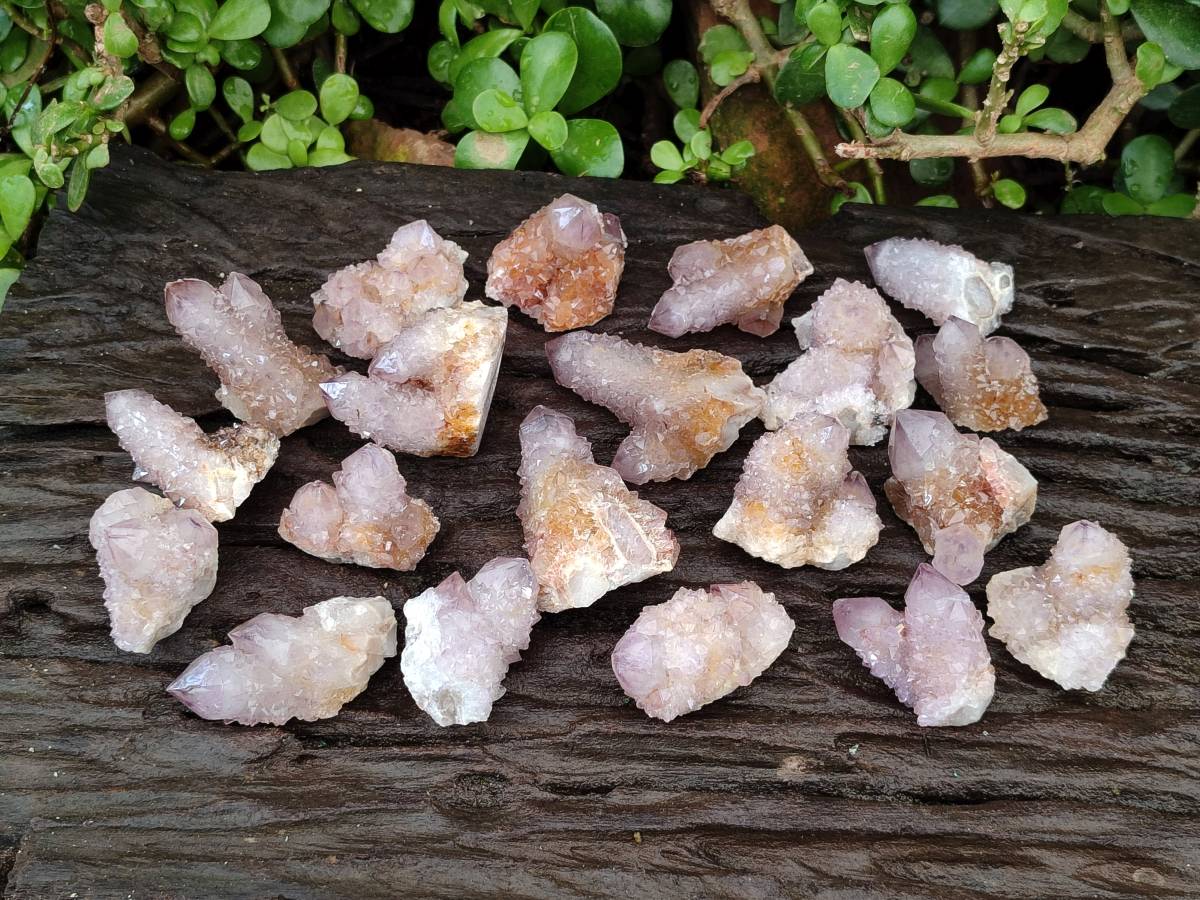 Natural Sunburst Amethyst Spirit Crystals x 20 From Boekenhouthoek, South Africa