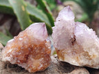 Natural Sunburst Amethyst Spirit Crystals x 20 From Boekenhouthoek, South Africa