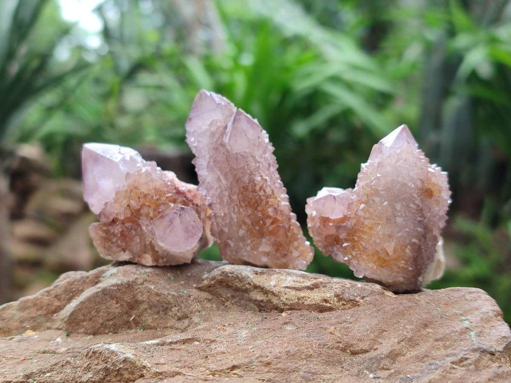 Natural Sunburst Amethyst Spirit Crystals x 20 From Boekenhouthoek, South Africa