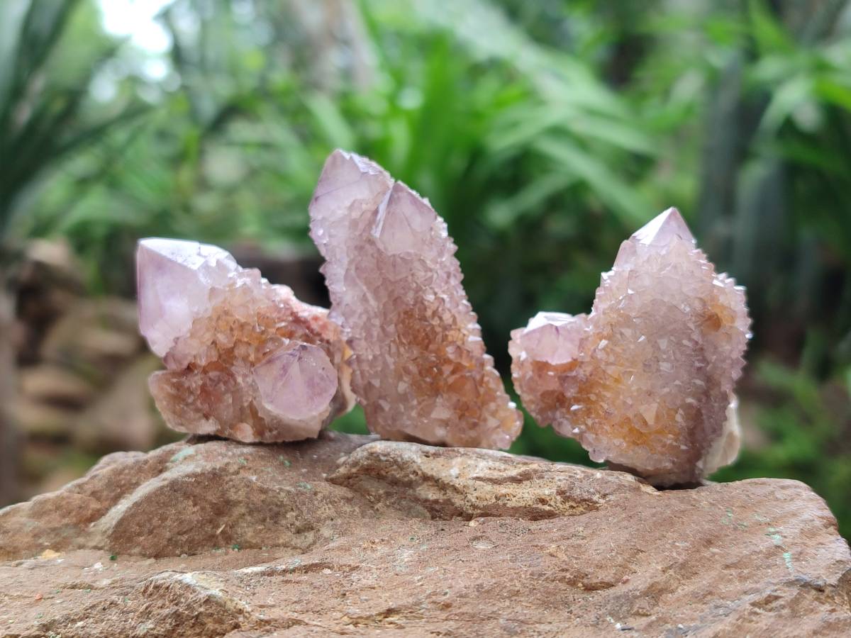 Natural Sunburst Amethyst Spirit Crystals x 20 From Boekenhouthoek, South Africa