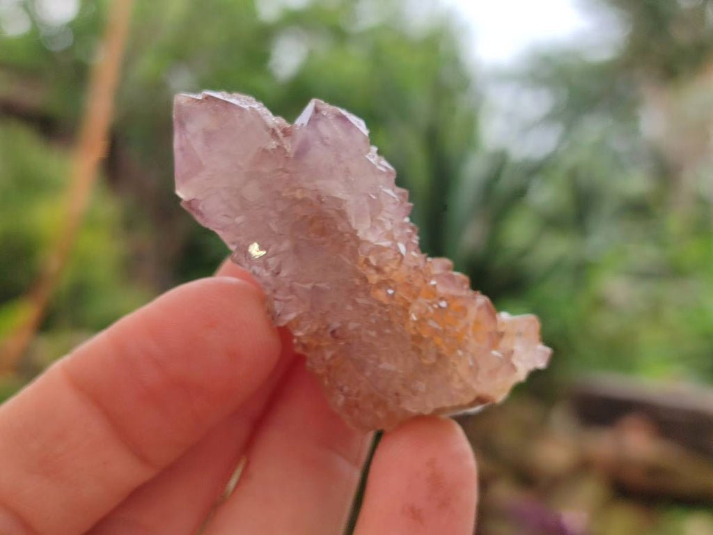 Natural Sunburst Amethyst Spirit Crystals x 20 From Boekenhouthoek, South Africa