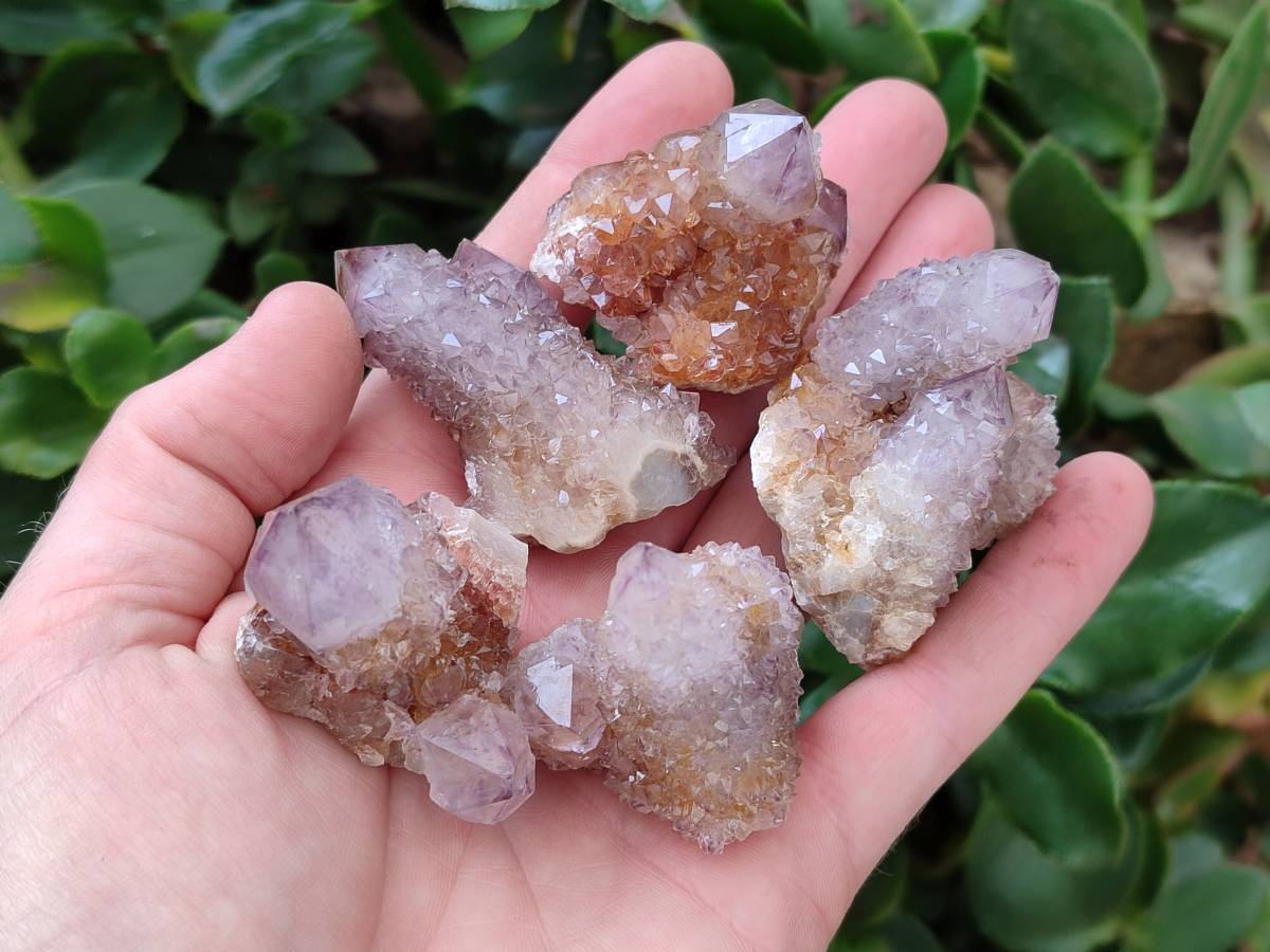 Natural Sunburst Amethyst Spirit Crystals x 20 From Boekenhouthoek, South Africa
