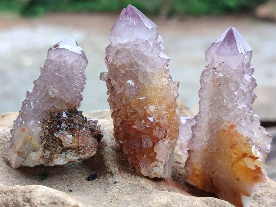 Natural Sunburst Amethyst Spirit Crystals x 20 From Boekenhouthoek, South Africa