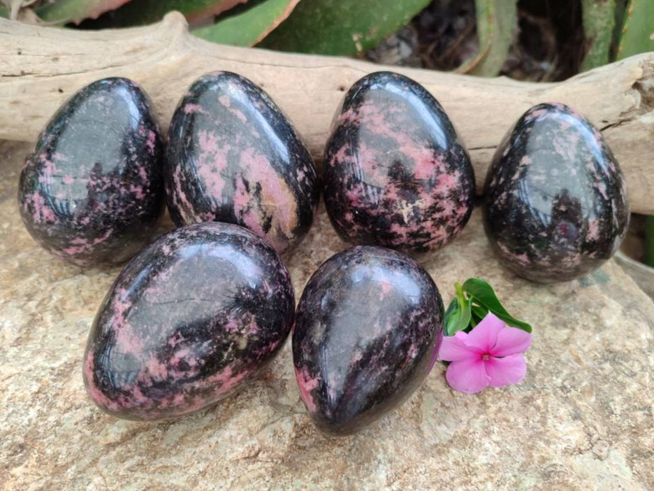 Polished Rhodonite Eggs x 6 From Ambindavato, Madagascar